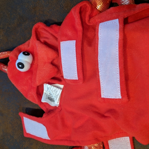 Lobster Costume for Small Dog or Cat - Picture 9 of 10
